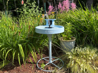 A Birdfy Bath Pro stands in a garden