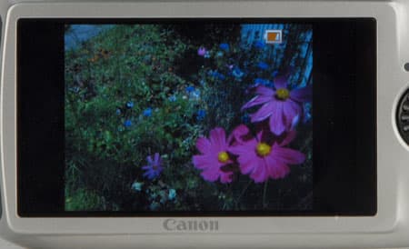 LCD Photo