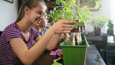 A girl holds a plant over an indoor hydroponic garden reservoir.