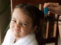 A child scowls as her hair is combed for lice