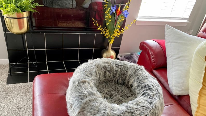 My cat is obsessed with this cozy Tuft and Paw bed - Reviewed