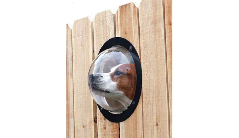 Fence