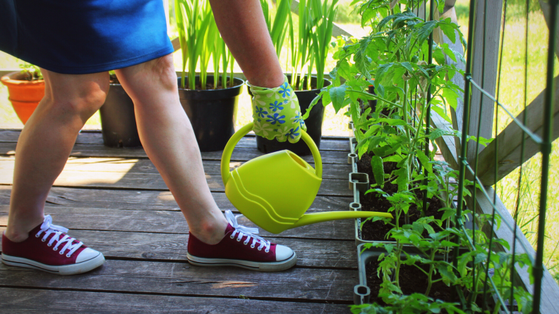 Person watering plants on a deck with a watering can