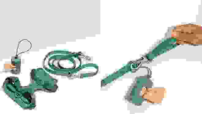green harness on white/grey background