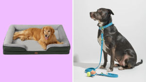 A collage with a dog wearing a collar and a dog laying on a dog bed.
