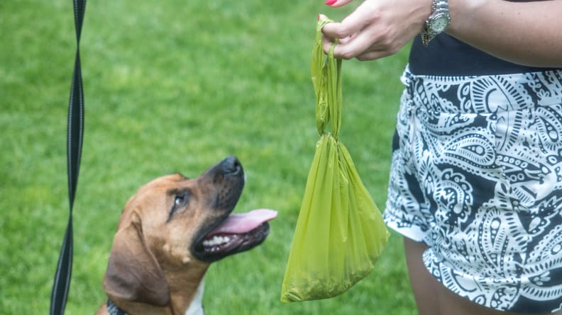 6 Best Dog Poop Bags of 2023 - Reviewed