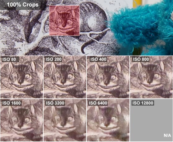 DCI-ALICE-CROPS.jpg