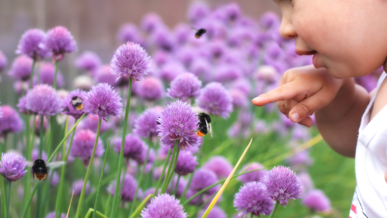 Baby pointing at bees