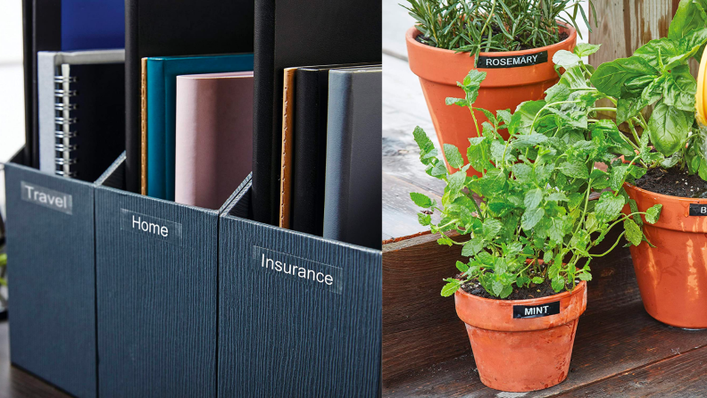 1) Organized and labeled file folders. 2) Labeled house plants.