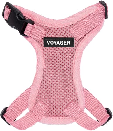 Breathable stylish ergonomic harness for cats - . Gift Ideas