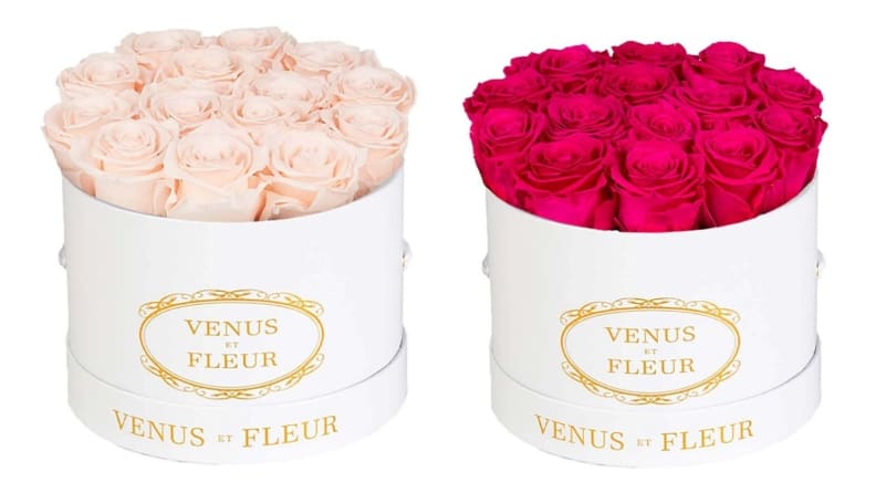 Venus et Fleur Flowers