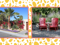 Two images of a lush desert front lawn and two red lawn chairs sit in a backyard.