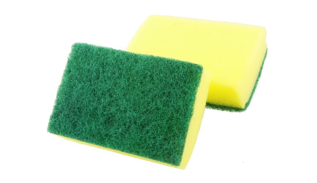 sponge.jpg