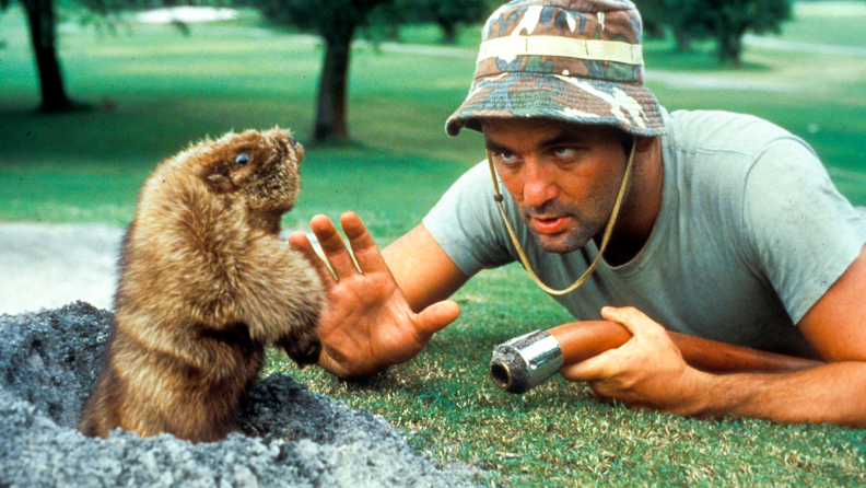 Actor Bill Murray confronts his nemesis—a dancing gopher puppet—in the 1980 film Caddyshack.