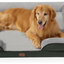 Product image of Bedsure XXL Orthopedic Dog Bed