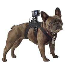 Product image of GoPro Fetch Dog Harness