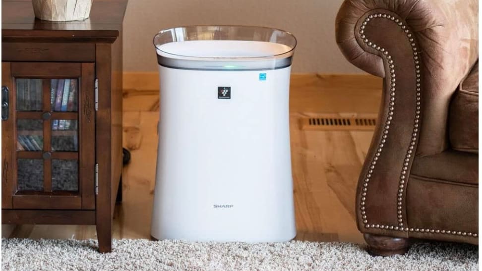 The 7 Best Air Purifiers for Smoke in 2024, Tested and Reviewed