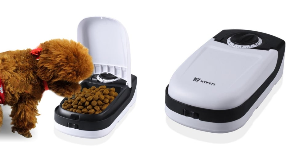 Best Automatic Feeder