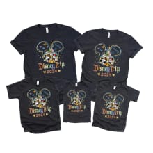 Product image of Disney 2024 Shirts