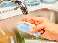 A person moistens a natural sponge before scrubbing dishes.
