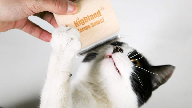 Shedding brush
