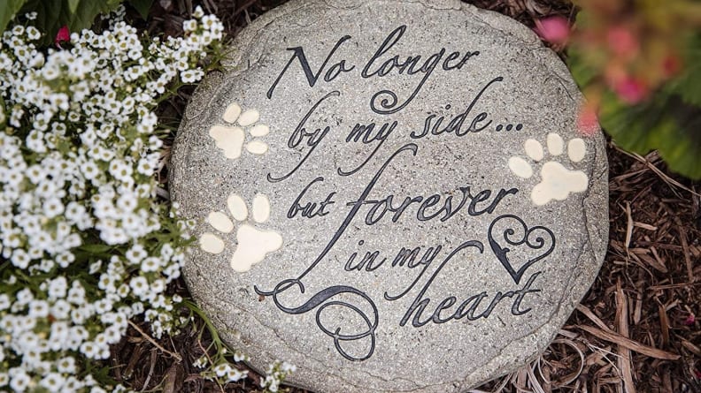 Mother's Day Gifts for Dog Moms: 20 Heart-touching Ideas That Rock Their Day