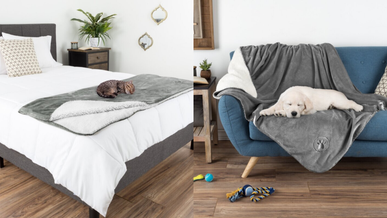 Cat sleeping on a pet blanket next to an image of a dog sleeping on a pet blanket