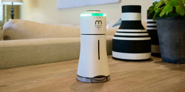 Smalt Salt Shaker