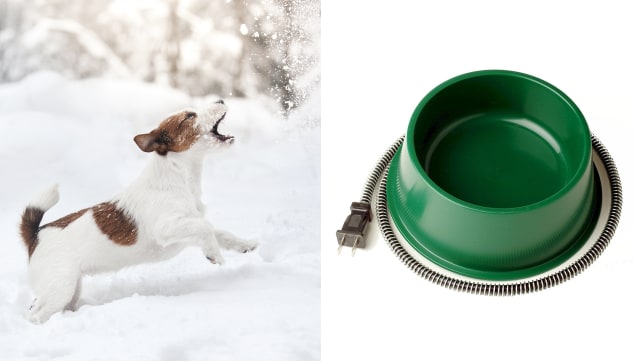 Farm Innovators Heated Water Bowl