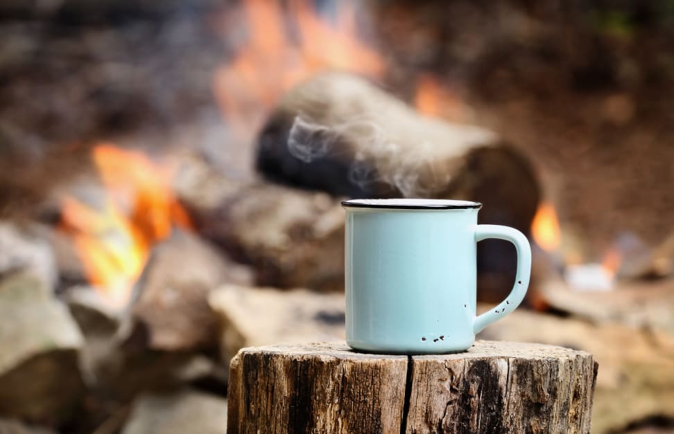 campfire cooking