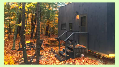 Tiny cabin situated in nature