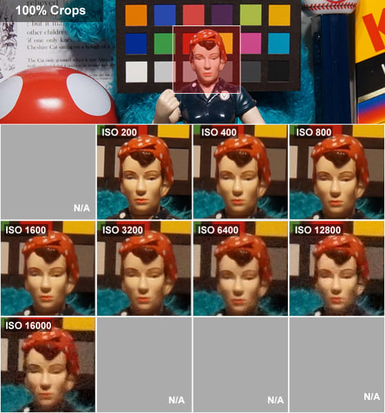 rosiecropsnex3n.jpg