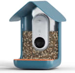 Product image of Bird Buddy