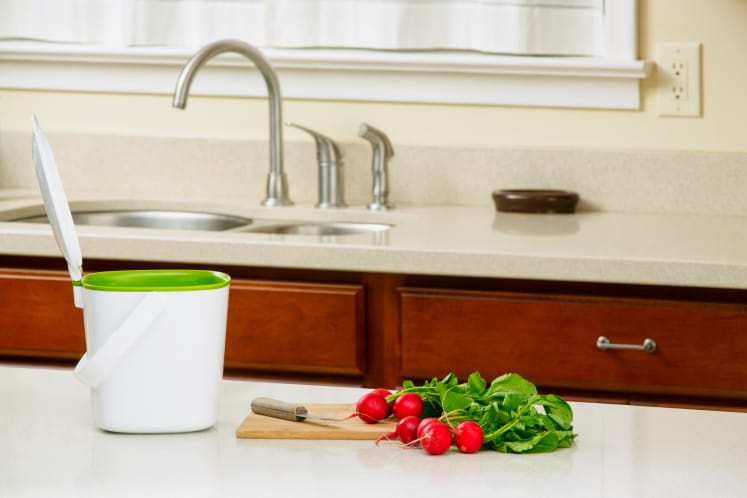 How To Compost An Easy Guide For Novices And Composting In