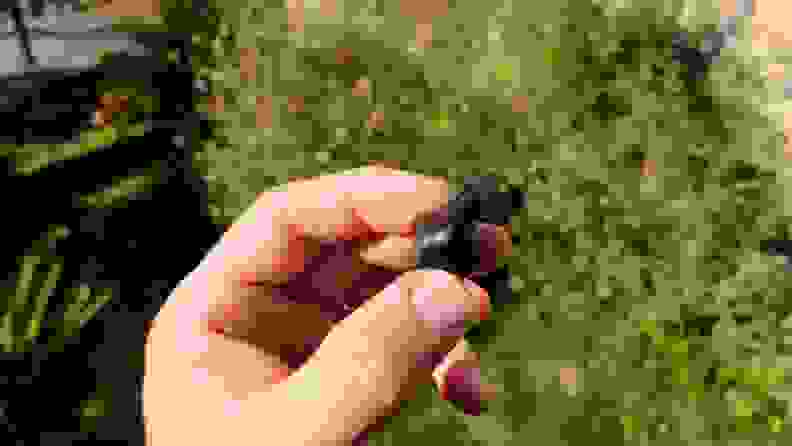 The black Elite 7 Pro earbud is held in a hand in front of greenery lengthwise.