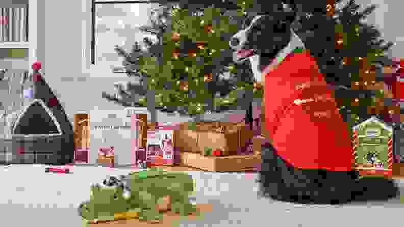 Image of dog sitting next to a Christmas tree