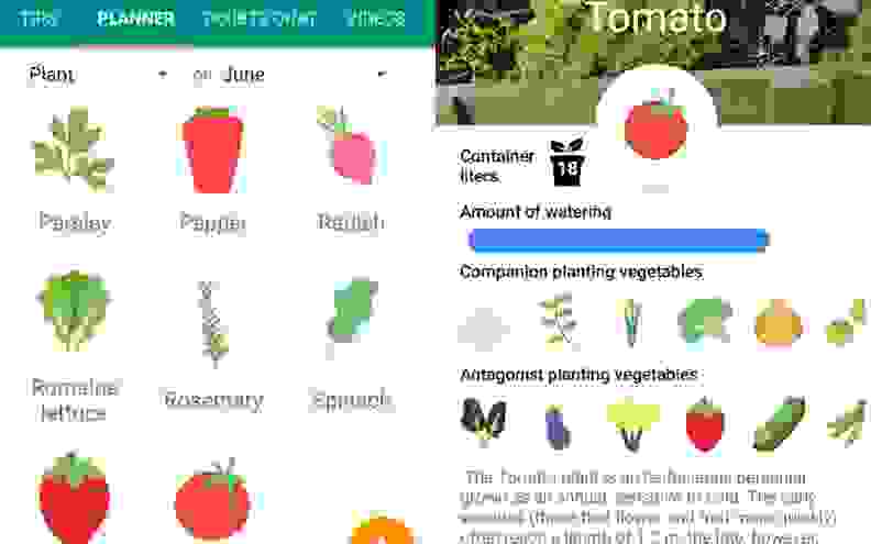 Vegetable Pot Garden App