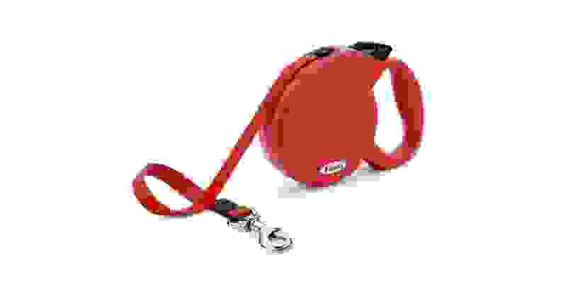 Red retractable leash