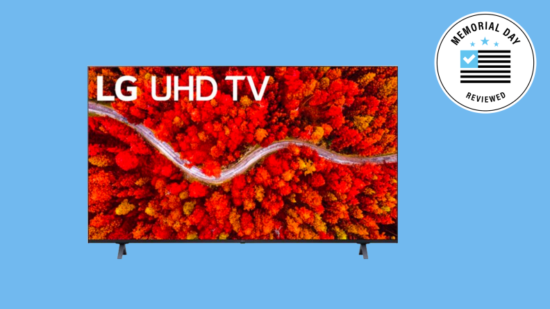 An LG TV showing a bouquet of roses set against a blue background.