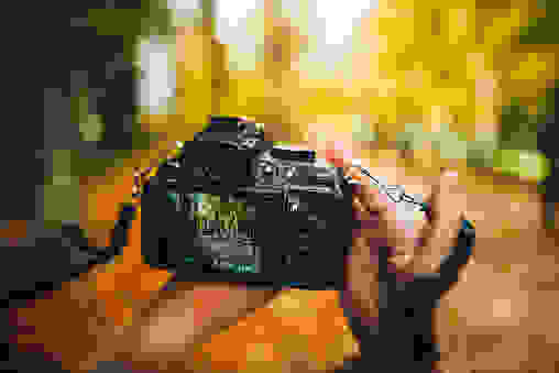 Two hands holding a black video camera. On the camera monitor is a forest with fall tones. The background of the actual image is blurred.