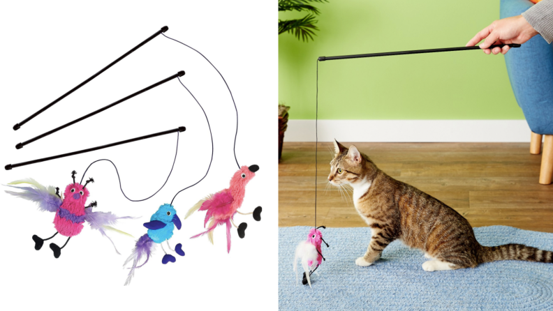 三个魔杖玩具和一只猫在玩一个