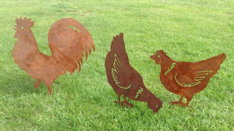 Rust hen