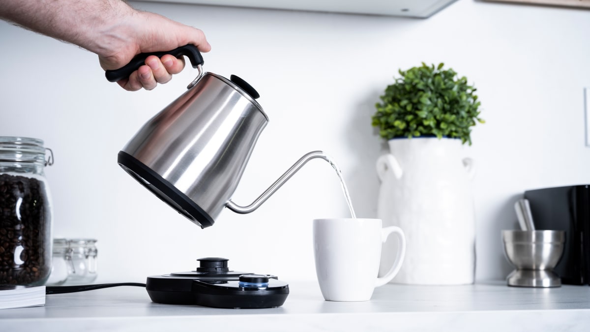 Fellow Corvo EKG Electric Tea Kettle - Pour Over Coffee and Tea Pot - Quick  Heating Kettles for Boiling Water - Temperature Control and Built-In Brew