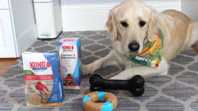 Addy the dog with toys and treats