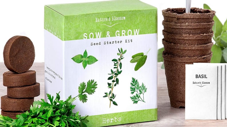 Nature’s Blossom Herb Garden Kit