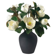 Product image of Magnolias in terracotta vase