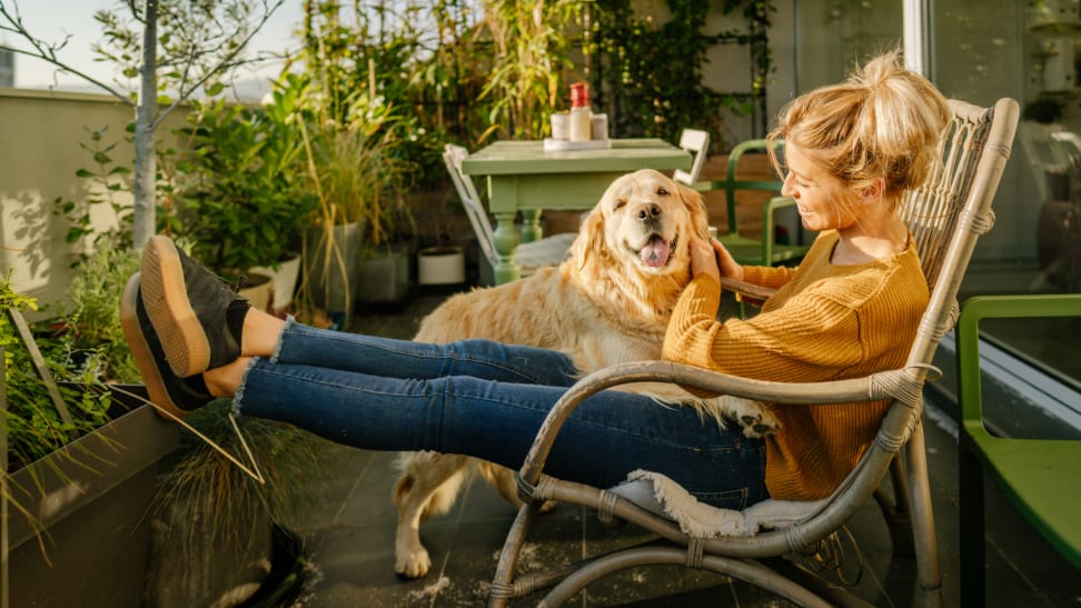 A young adult and their dog enjoys a moment together outside on an apartment balcony.
