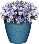 Product image of Classic Home and Garden Vogue Premiere Planter