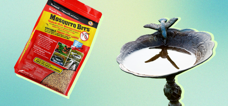 On left, bag of mosquito pellets. On left, hummingbird taking a drink from a bird bath.