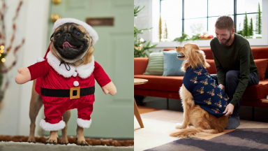 Pup in santa outfit and pup in rudolph sweater